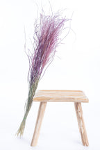 Miscanthus séché teinté cyclamen – culture bio locale