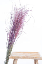 Miscanthus cyclamen pour bouquets secs DIY