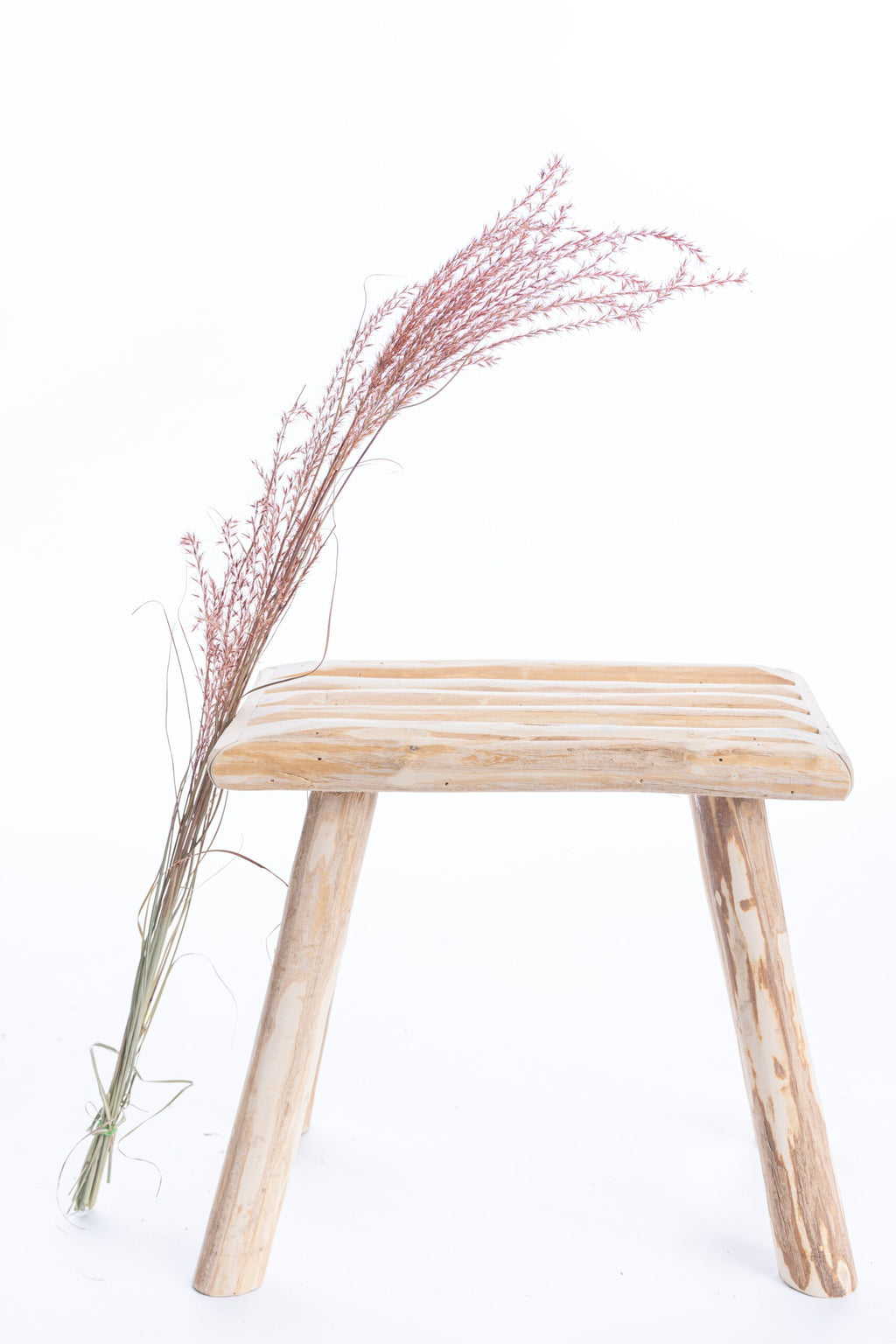 Miscanthus séché rouge vénitien