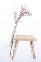 Fleurs séchées de miscanthus couleur terracotta, issues de culture bio