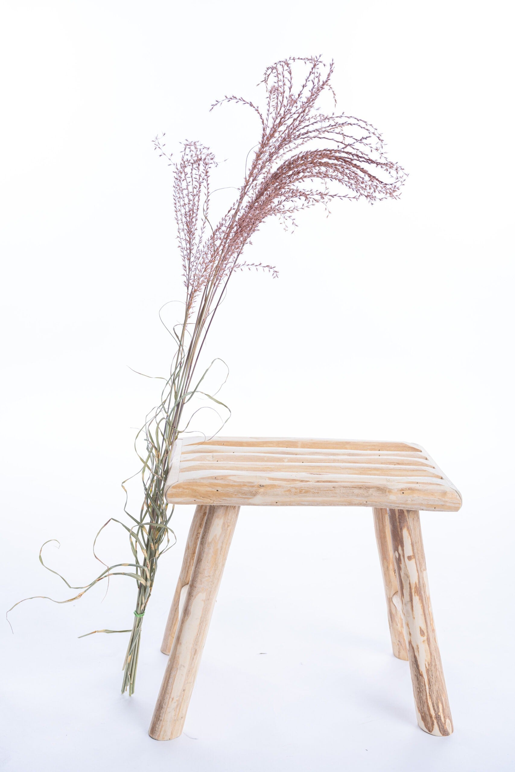 Fleurs séchées de miscanthus couleur terracotta, issues de culture bio