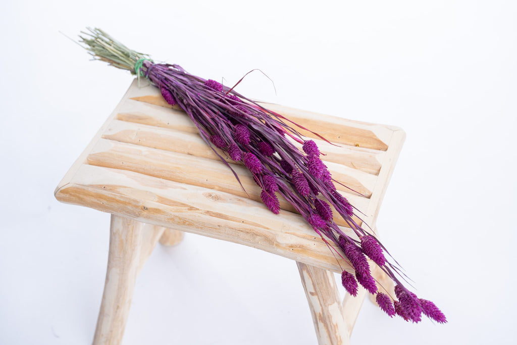 Phalaris cyclamen artisanal en décoration florale