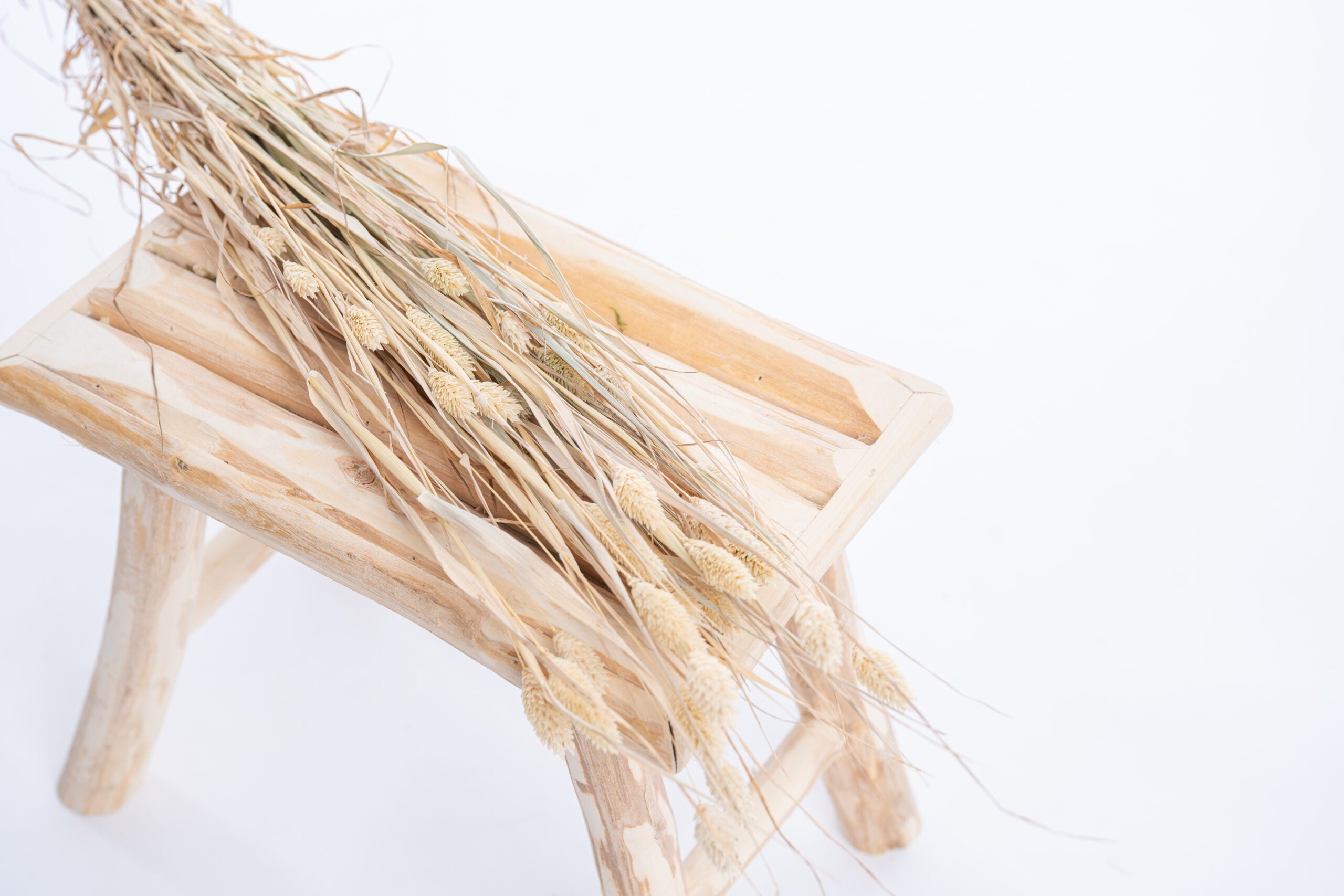 Phalaris séché bio naturel en botte