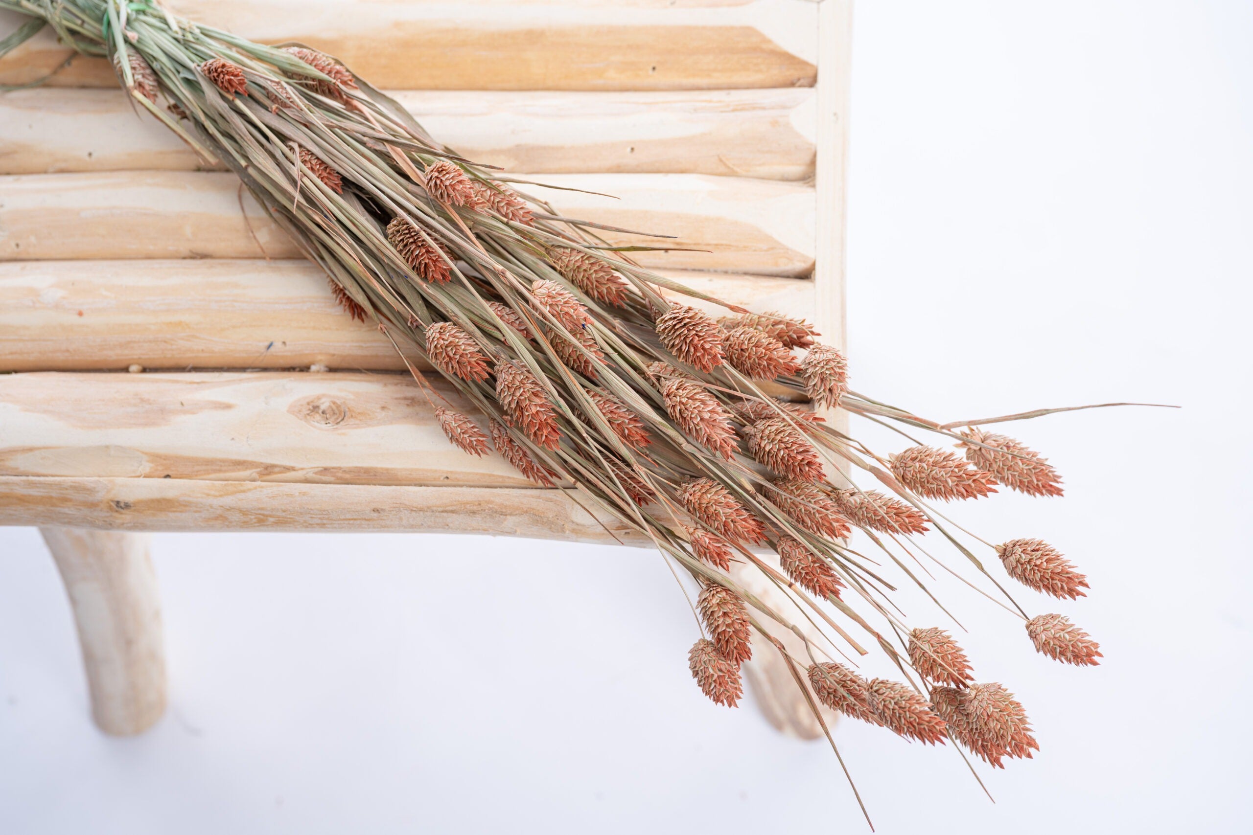 Phalaris cultivé localement et teinté artisanalement en terracotta