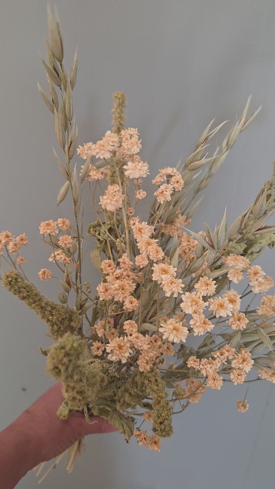 video assemblage fleurs séchées matricaire avoine et amarante