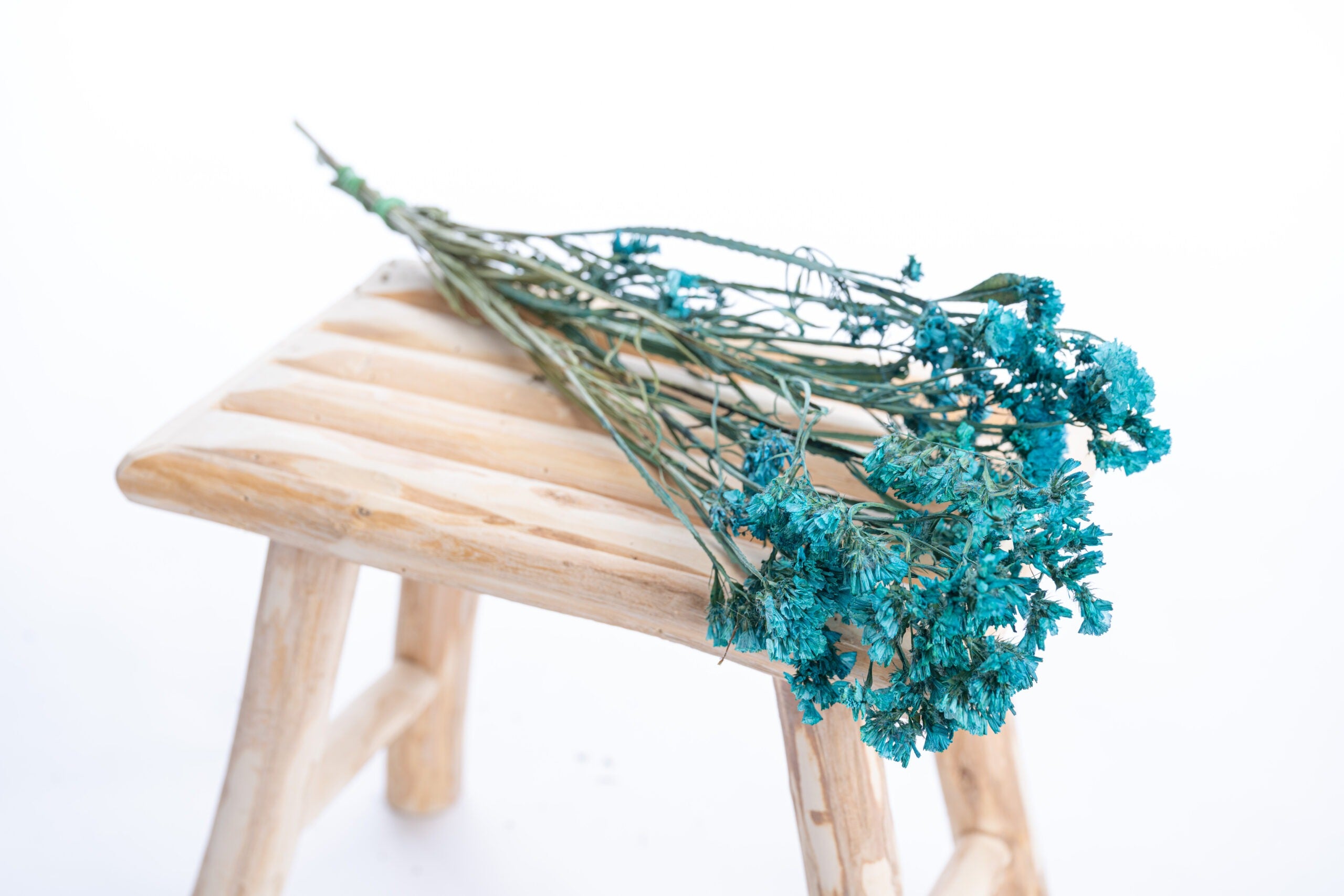 Statice bleu canard séchée, cultivée en agriculture biologique et colorée naturellement avec pigments végétaux et minéraux.