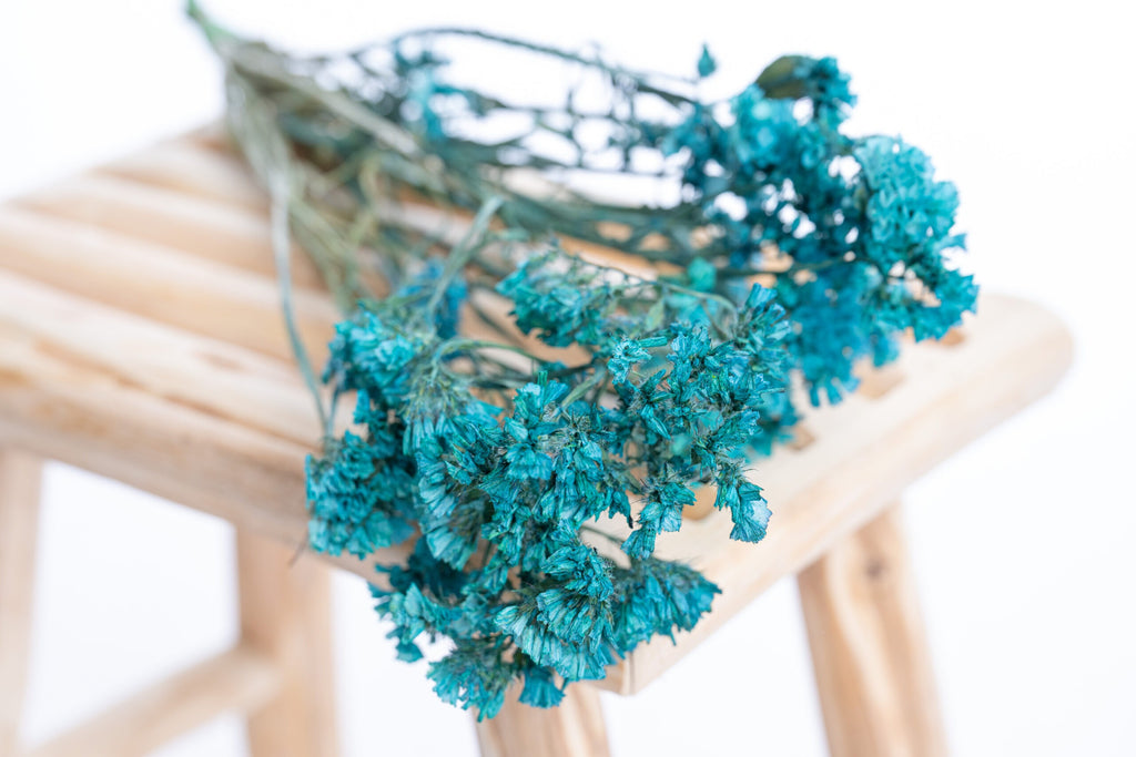 Fleurs séchées de statice bleu canard, couleur obtenue par pigments végétaux et minéraux naturels