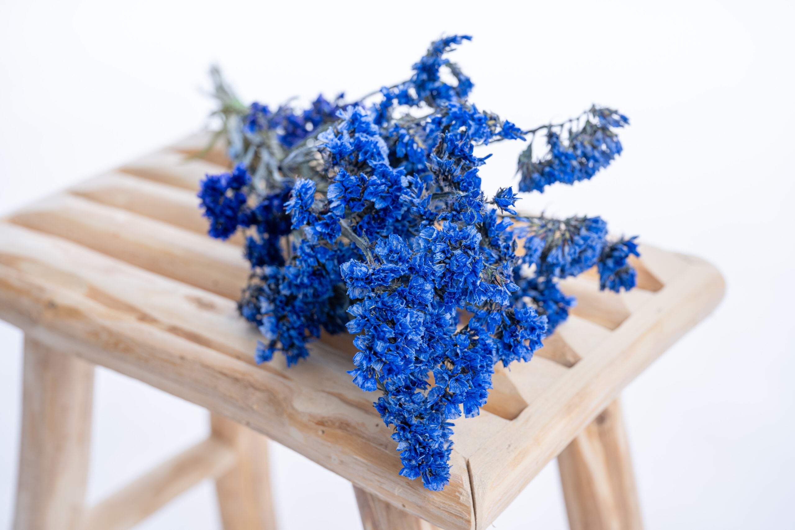 Tiges de statice colorées bleu profond