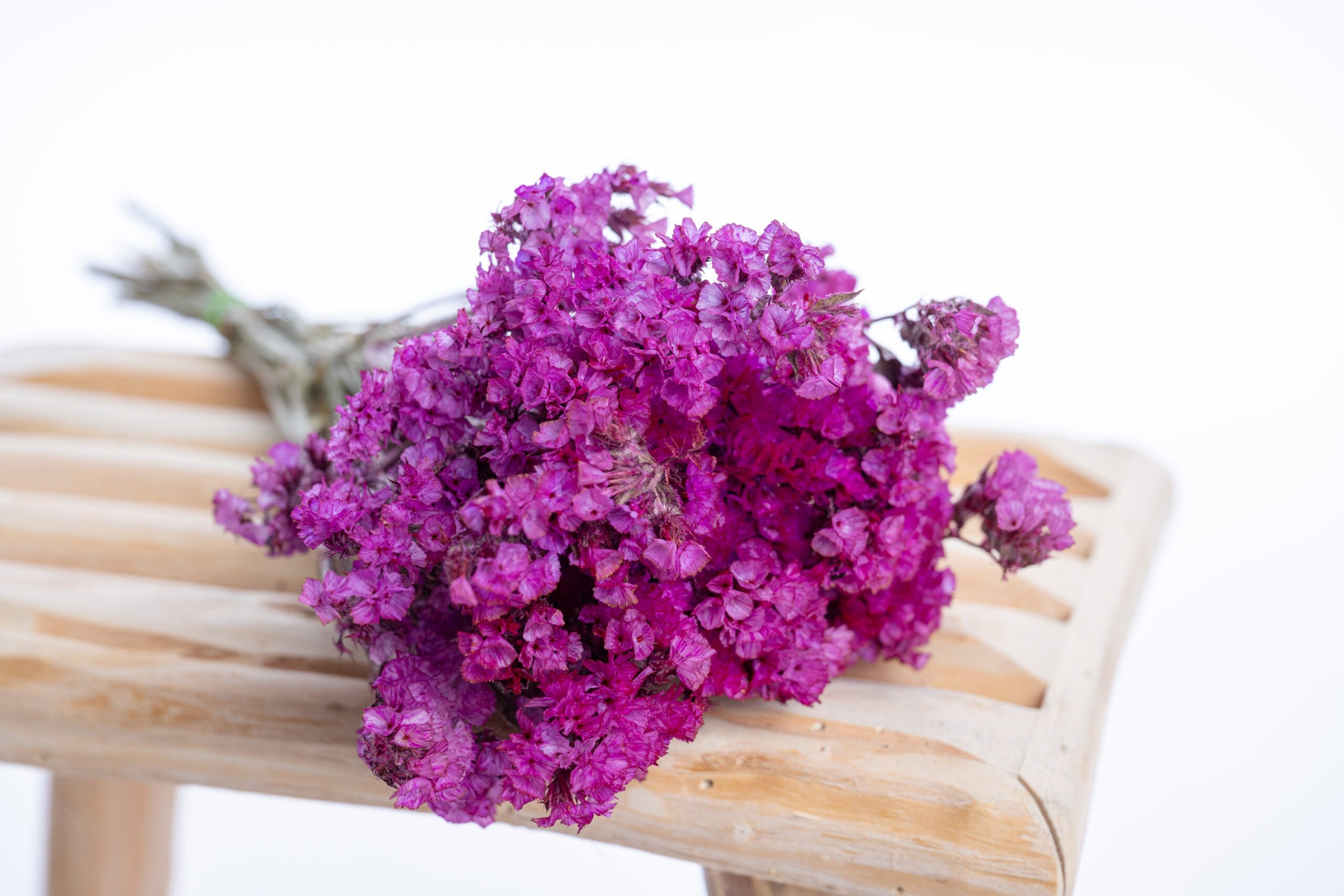 Fleurs de statice teintées cyclamen pour déco florale