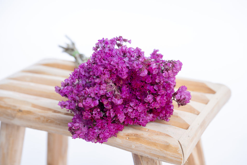 Statice séchée cyclamen cultivée en bio en France