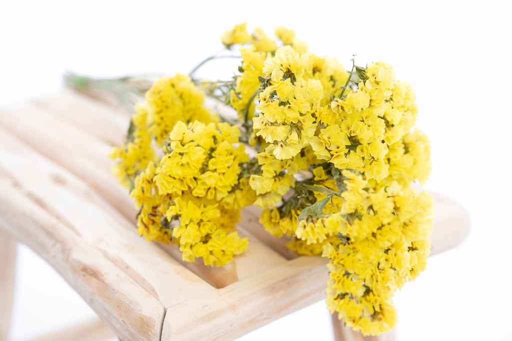 Fleurs de statice jaune séchée bio françaises