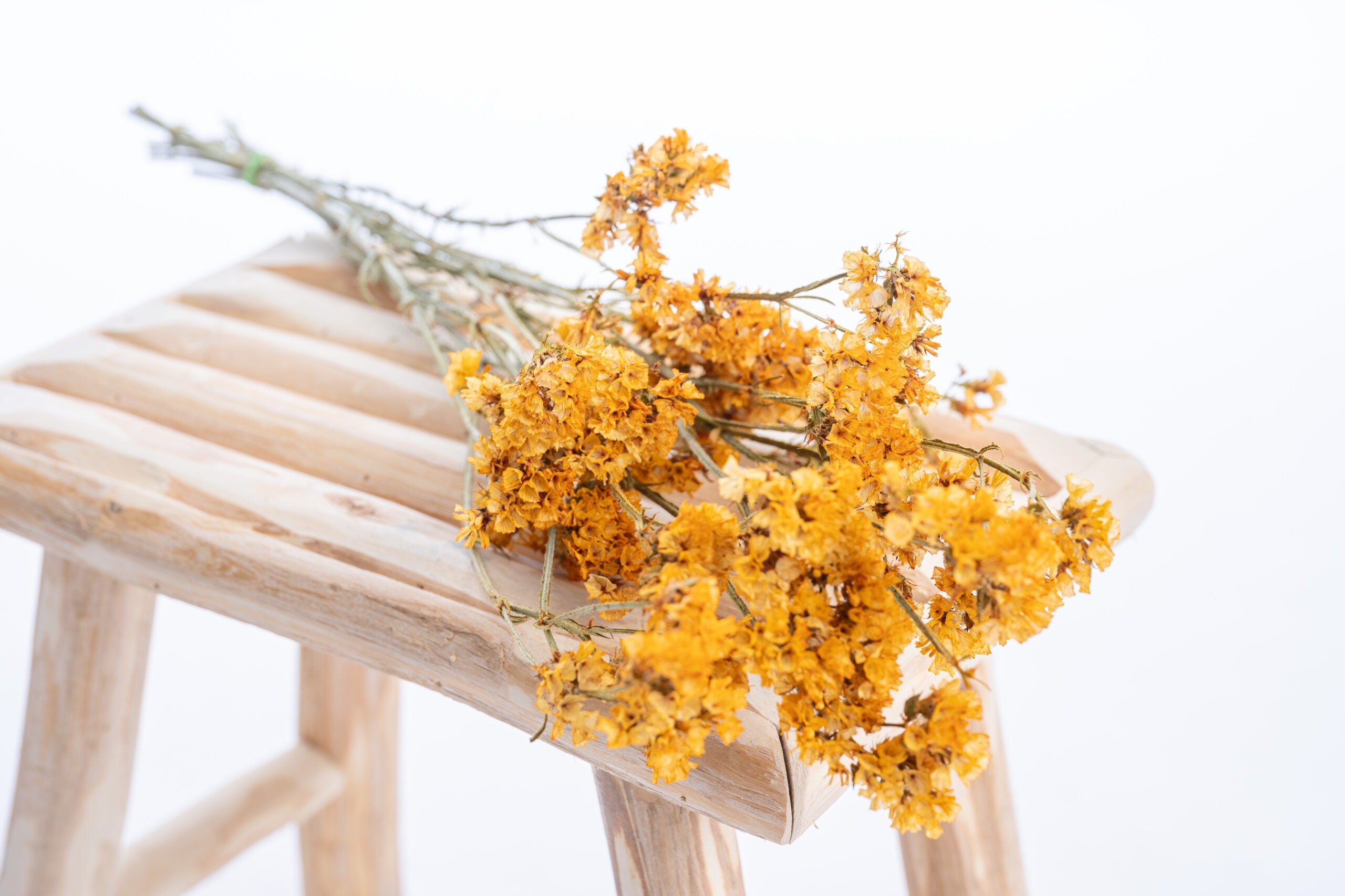 Statice séchée couleur ocre doré, idéale pour bouquet bohème