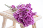 Fleurs de statice rose séchée bio françaises