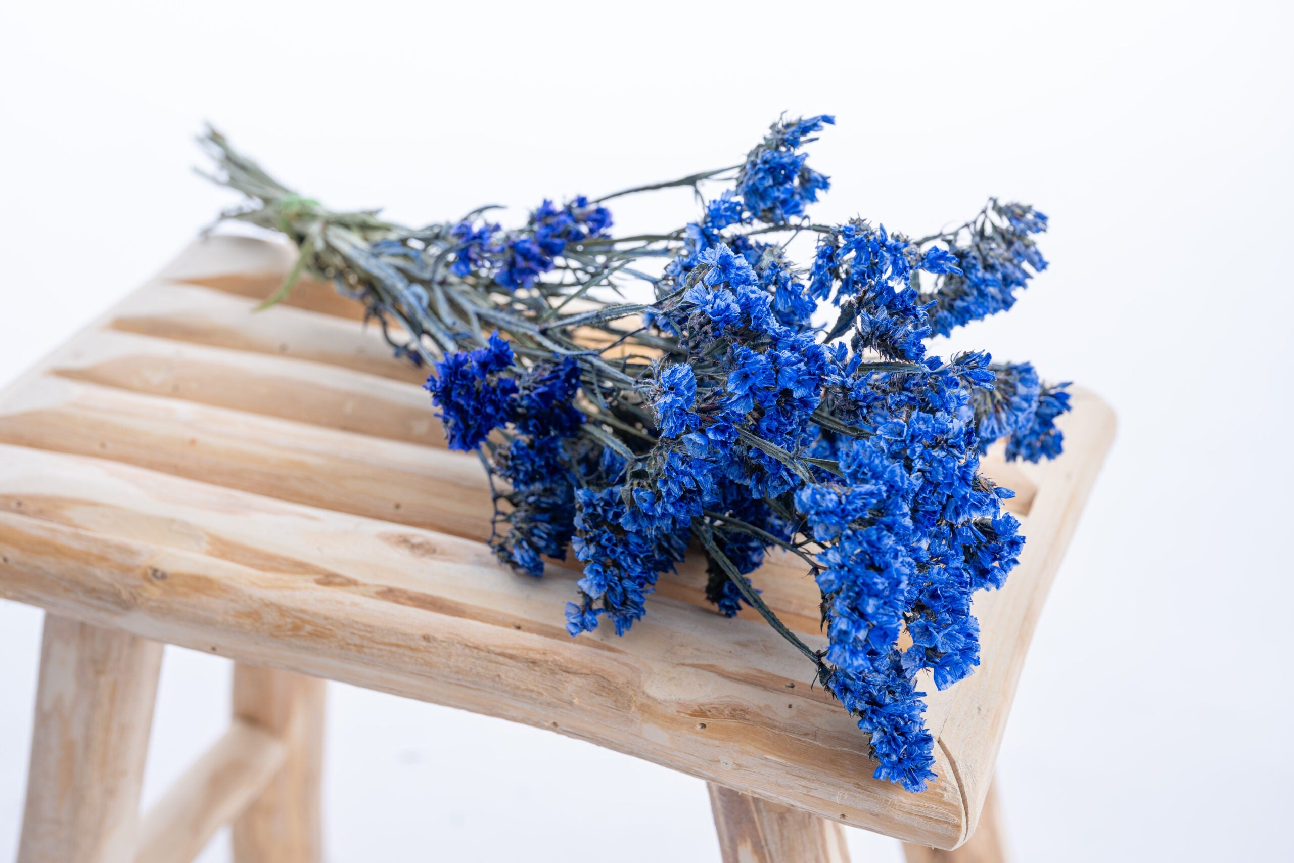 Statice bleu outremer en fleurs séchées bio