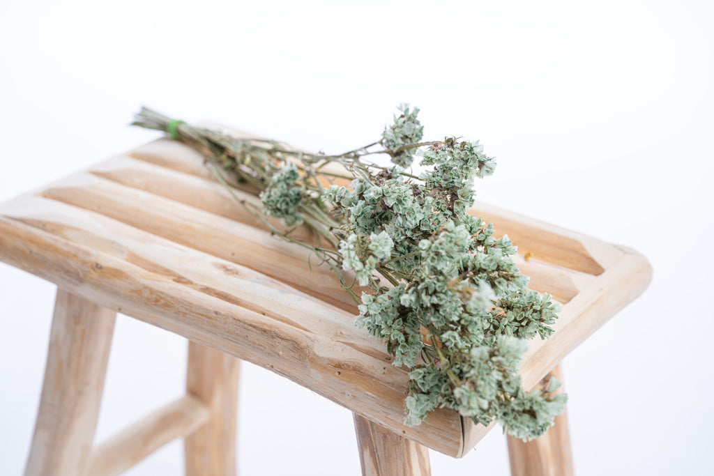 Fleurs de statice vert naturel pour décoration florale