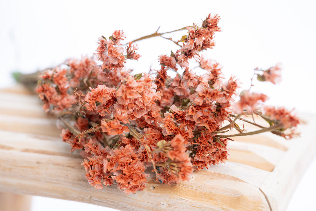 Statice terracotta – fleurs séchées colorées naturellement