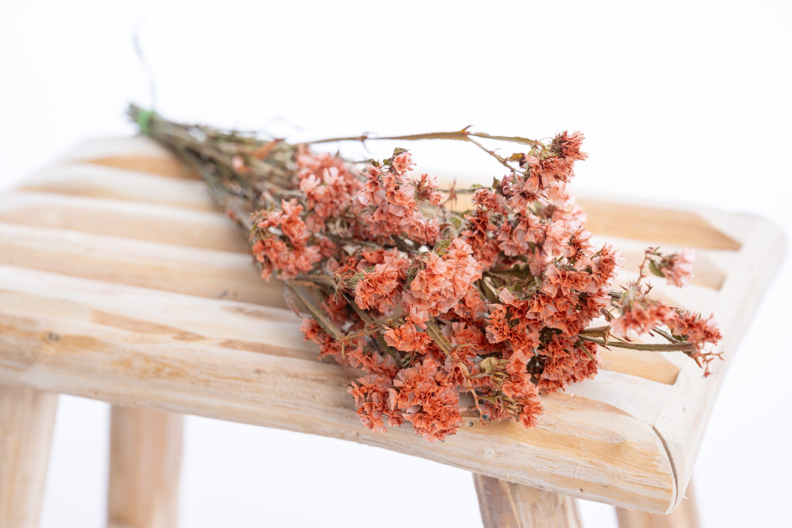 Botte de statice (limonium) terracotta séché artisanalement