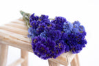 Botte de fleurs de statice violette séchée bio