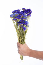 Botte de statice séchée bio violette