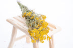Botte de tanaisie séchée aux petites fleurs jaunes, posée sur un banc en bois clair.