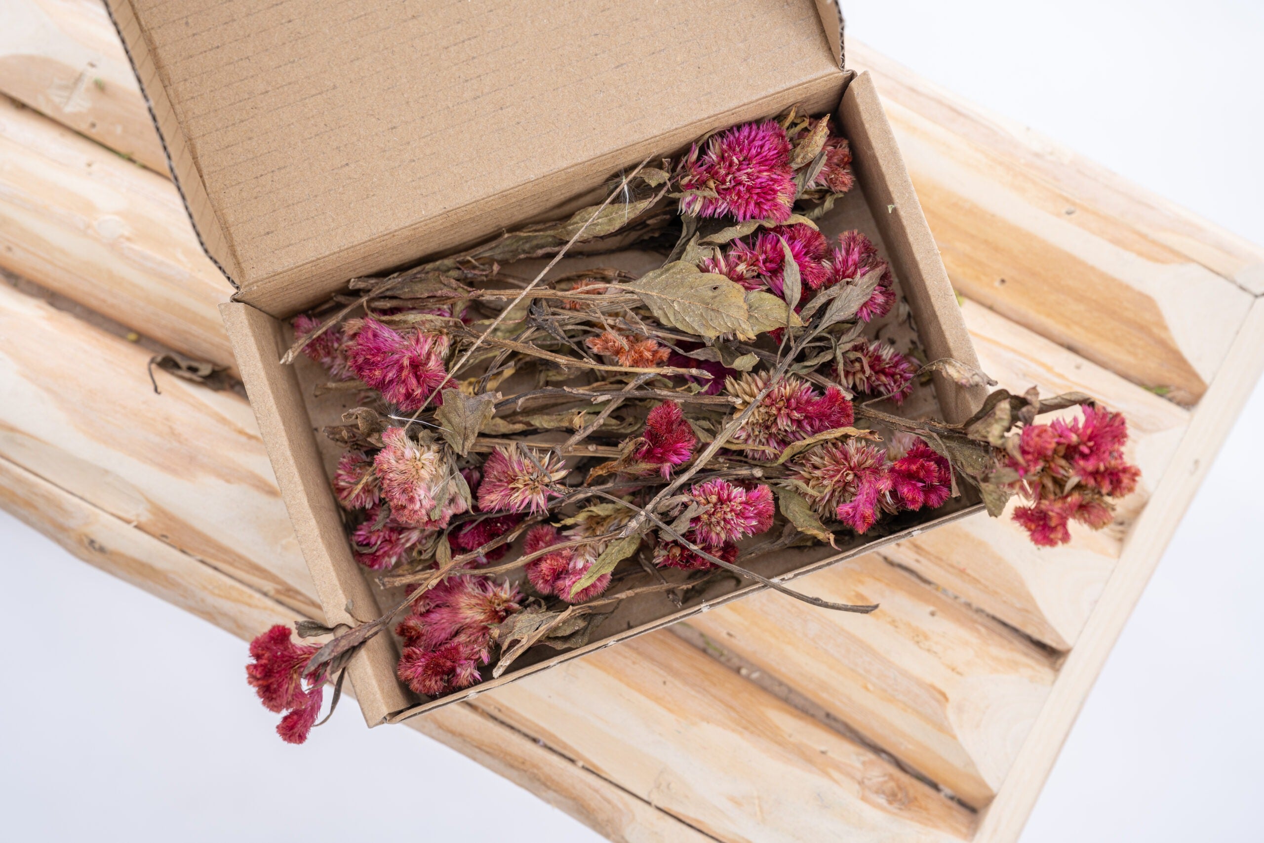 Kit DIY tiges de célosie rose séchées du Gers